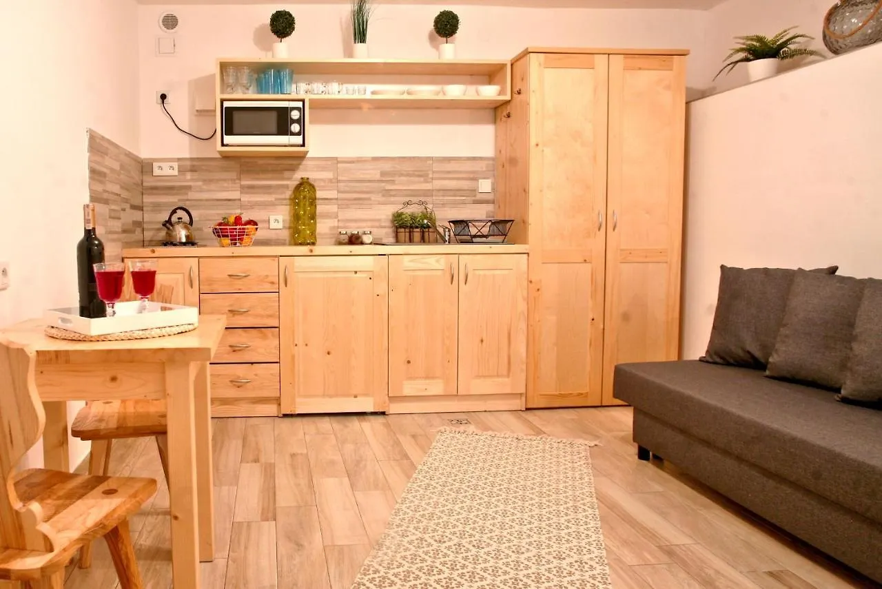 Appartement Willa Przy Skoczni 2 à Zakopane Pologne